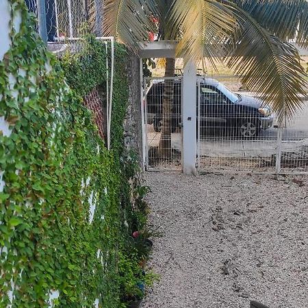 Felipe Carrillo PuertoDepartamento Centrico Con Estacionamientoアパートメント エクステリア 写真